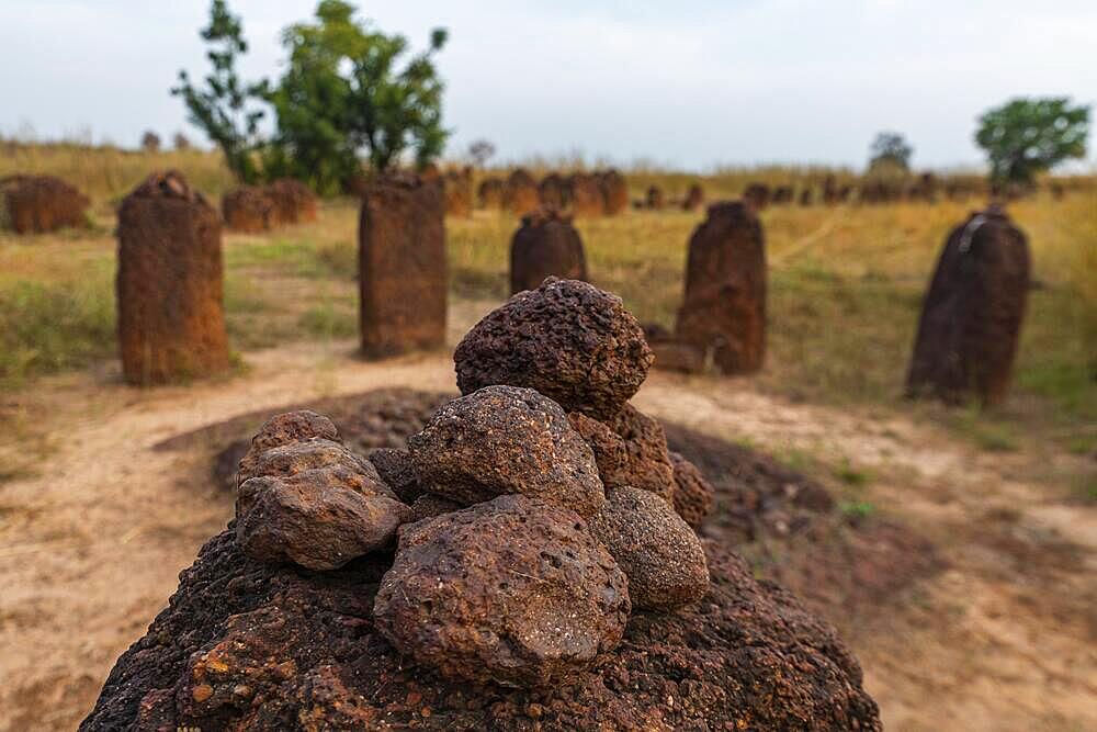 Unesco site Senegambian stone circles, Wassu, Gambia, Africa