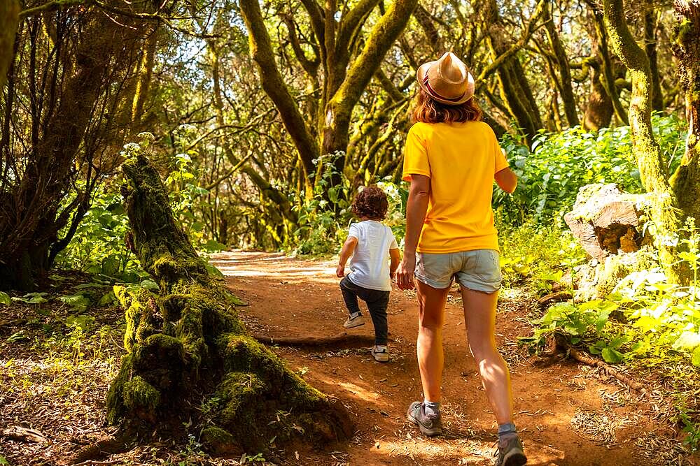 Mother and son walking in La Llania on El Hierro, Canary Islands. On a path of laurel from El Hierro in a lush green landscape