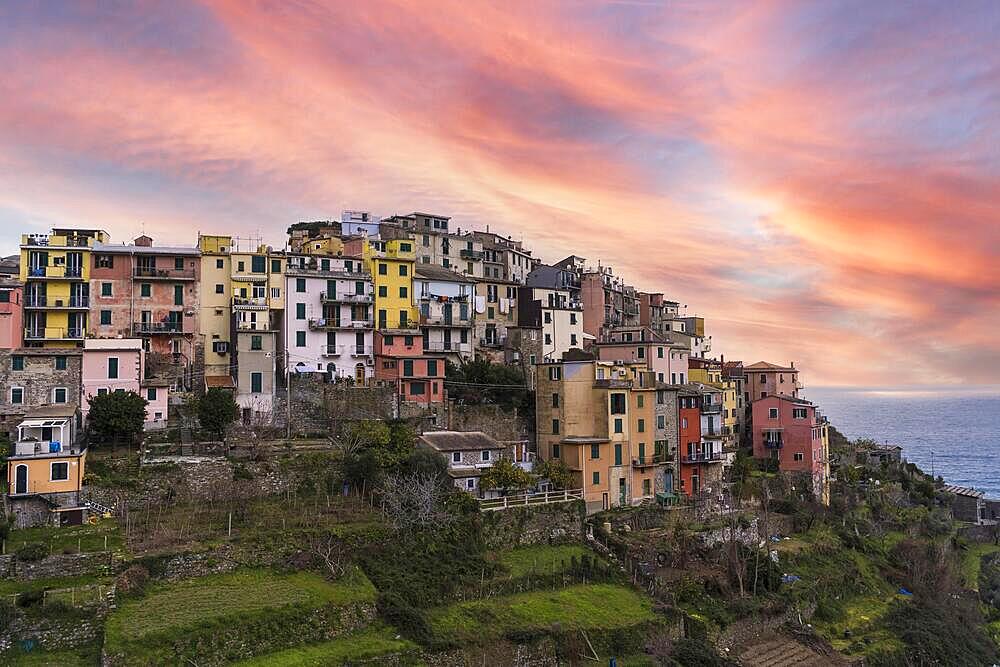 Scenic view of Coniglia village at sunset. Coniglia is located in Cinque Terre, Italy, Europe