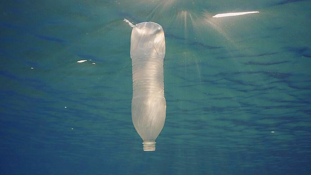 Disposable plastic bottle drift under surface of water in bright sunrays. A plastic bottle is thrown into the sea slowly drifts in water column in rays of morning sun, Red sea, Egypt, Africa