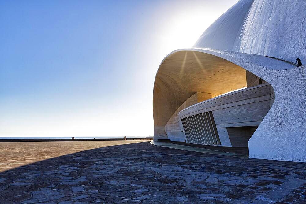 Facade reflects sunlight, Auditorio de Tenerife concert hall, architect Santiago Calatrava, modern architecture, Santa Cruz de Tenerife, Tenerife, Spain, Europe