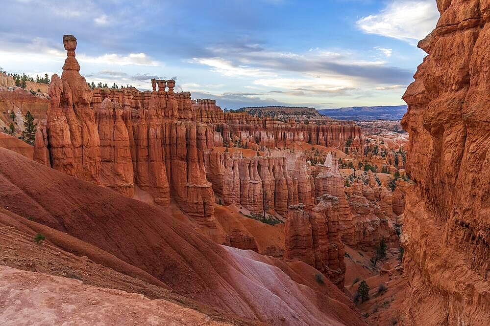 Thor's Hammer, Bryce Amphitheatre, Bryce Canyon National Park, Utah, USA, North America