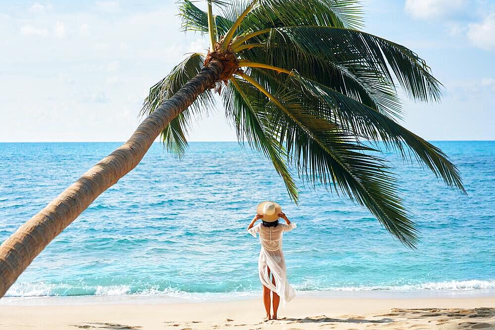 Back view of pretty young woman relax and enjoy sea standing under palm tree on tropical beach. Summer vacation concept