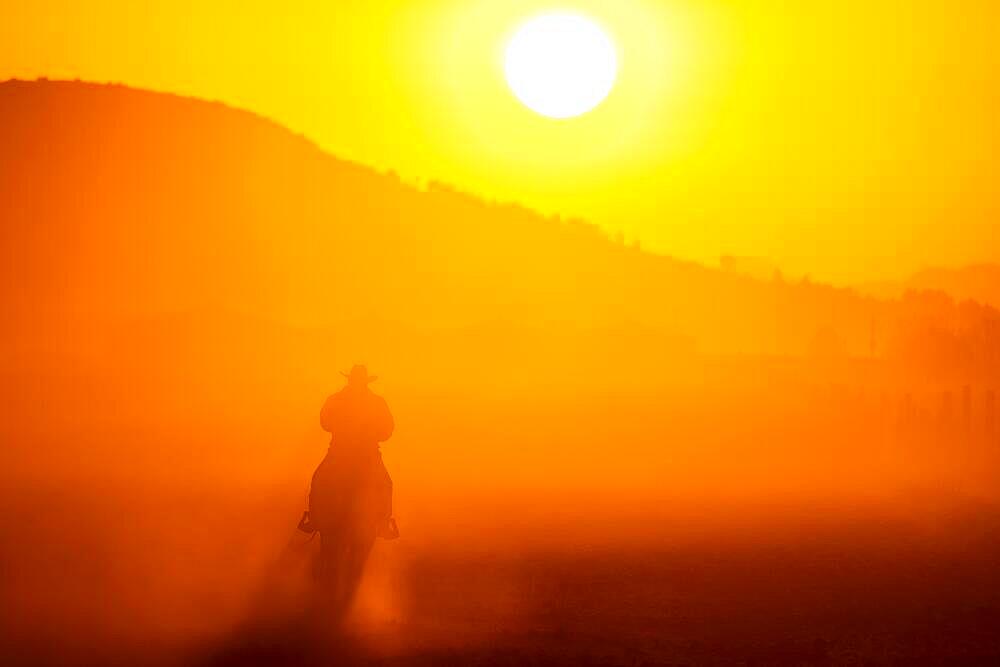 A Mexican Charro rounds up a herd of horses running through a field on a Mexican Ranch at sunrise