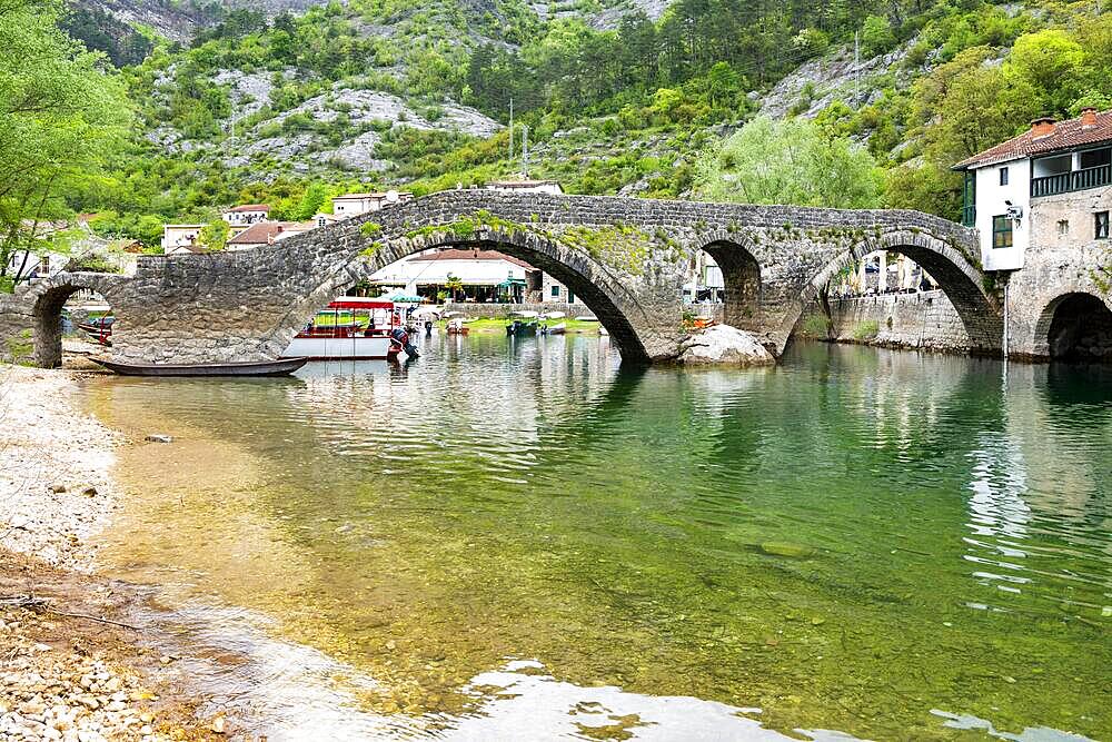 Old bridge, Stari most, Crnojevic river, Rijeka Crnojevica, Lake Scutari National Park, near Cetinje, Montenegro, Europe