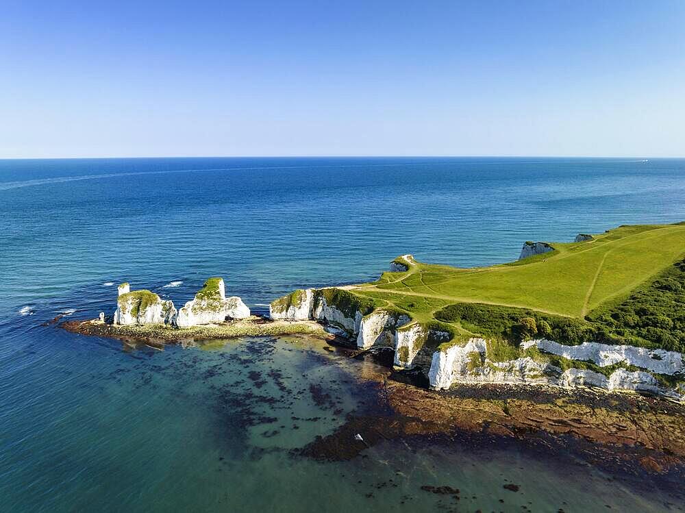 Aerial view of the chalk coast Old Harry Rocks, Jurassic Coast, Isle of Purbeck, Dorset, England, United Kingdom, Europe