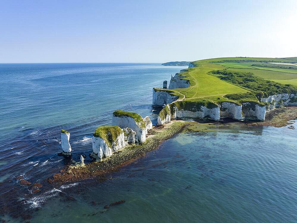 Aerial view of the chalk coast Old Harry Rocks, Jurassic Coast, Isle of Purbeck, Dorset, England, United Kingdom, Europe