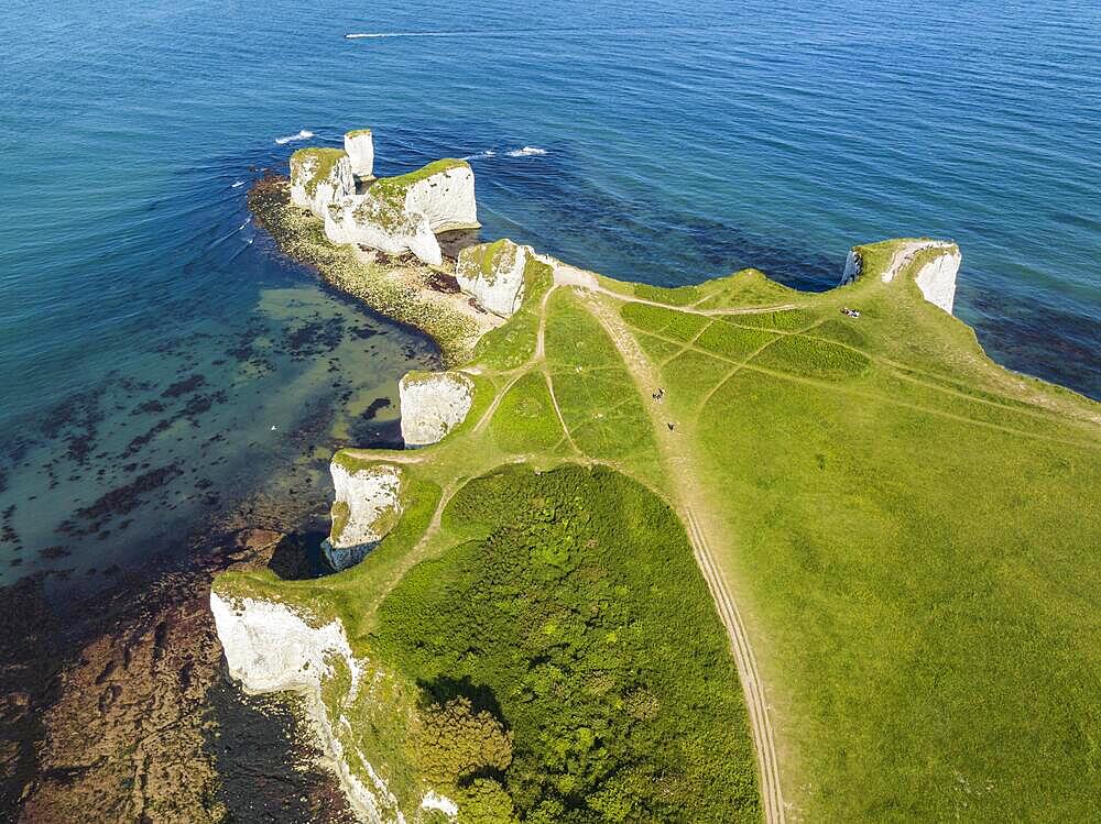 Aerial view of the chalk coast Old Harry Rocks, Jurassic Coast, Isle of Purbeck, Dorset, England, United Kingdom, Europe