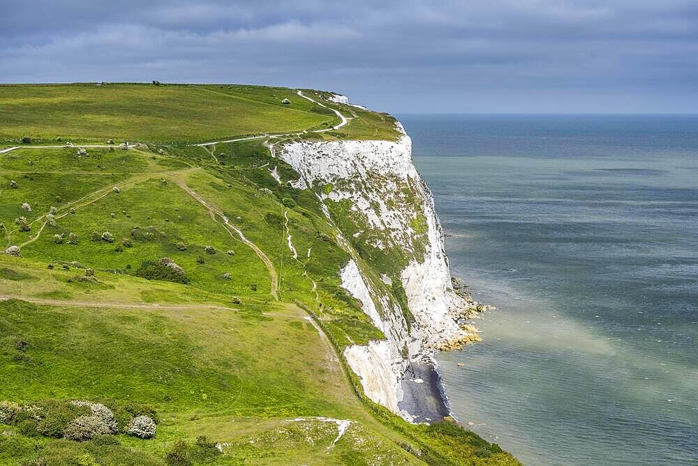 The chalk cliffs of Dover, English Channel, Kent, England, United Kingdom, Europe