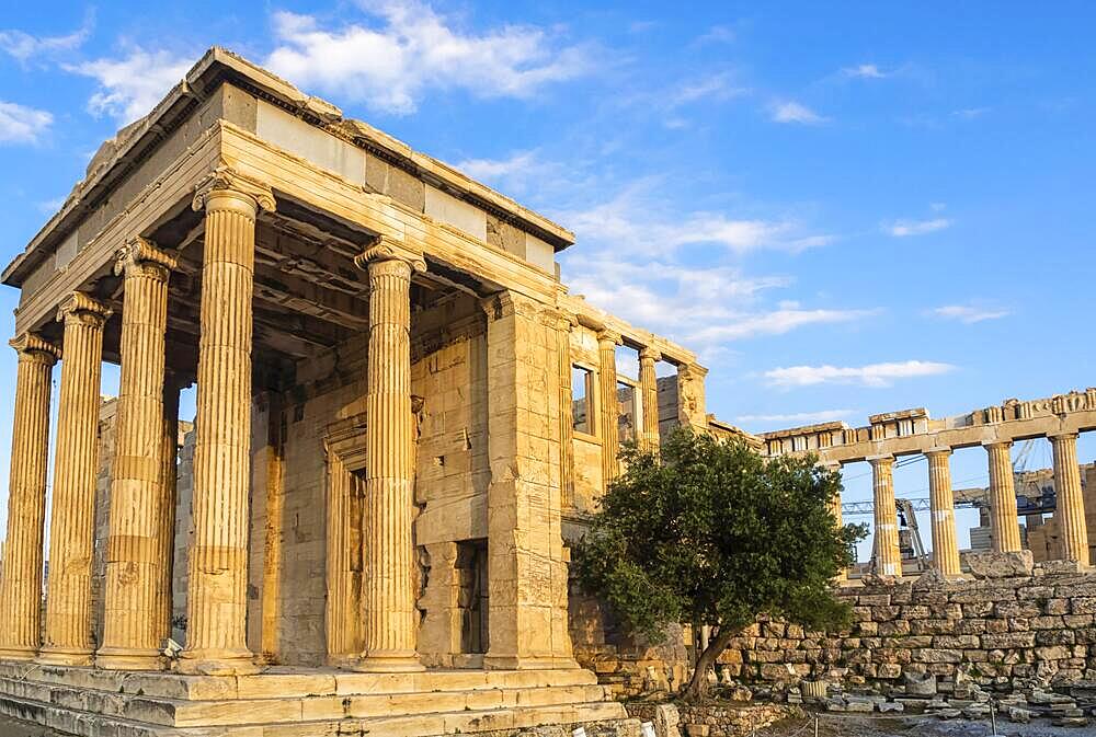 Porch of Poseidon temple, part of Erechtheion, sacred olive tree, walls of temple of Athena Polias on Acropolis, Athens, Greece against blue sky