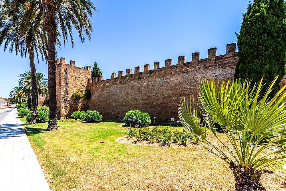 Street in the old town of Mallorca, Alcudia