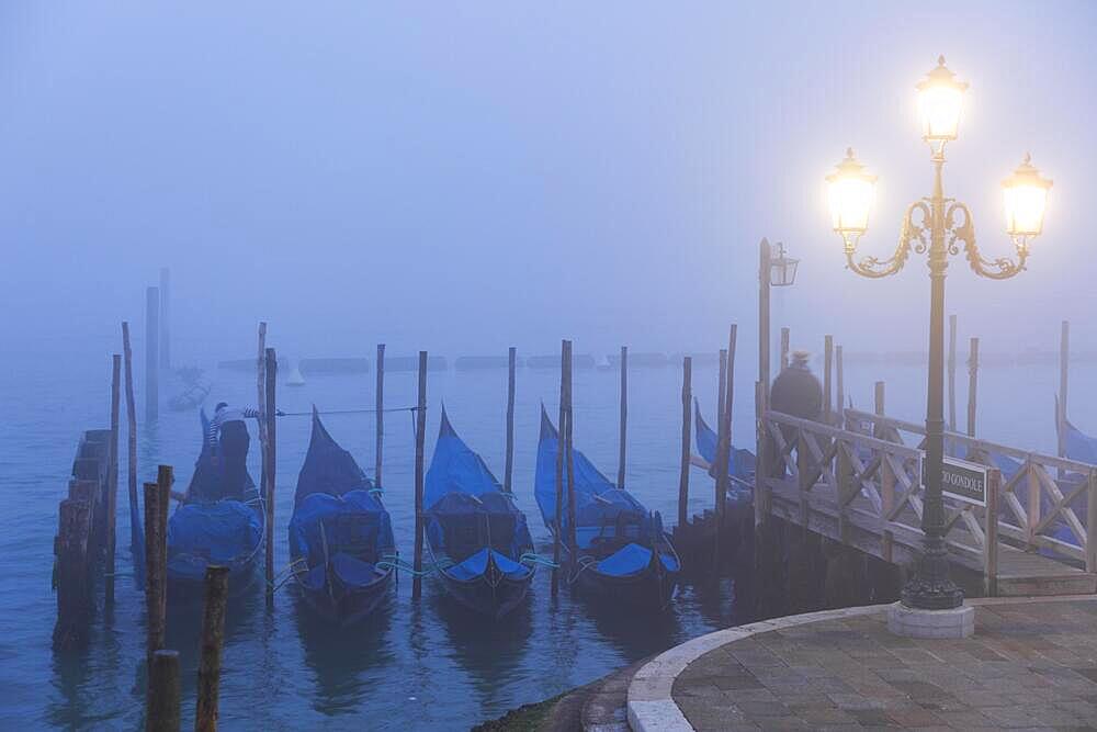 Moored gondolas at the Bacino di San Marco in the fog, Venice, Veneto, Italy, Europe