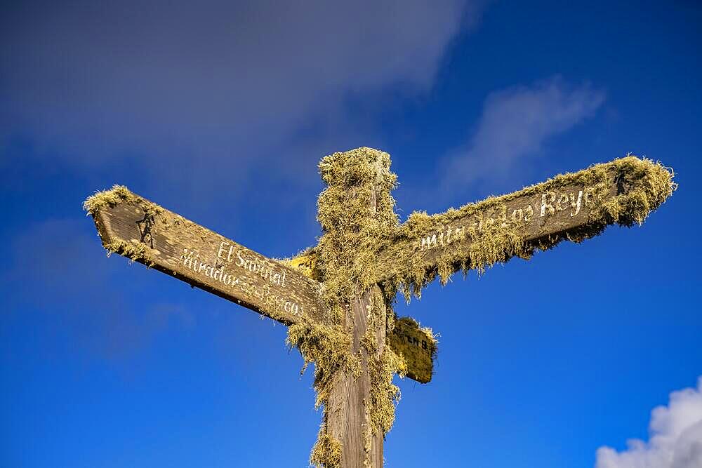 Moss-covered signpost El Sabinal and Ermita de los Reyes, El Sabinar, El Hierro, Canary Islands, Spain, Europe