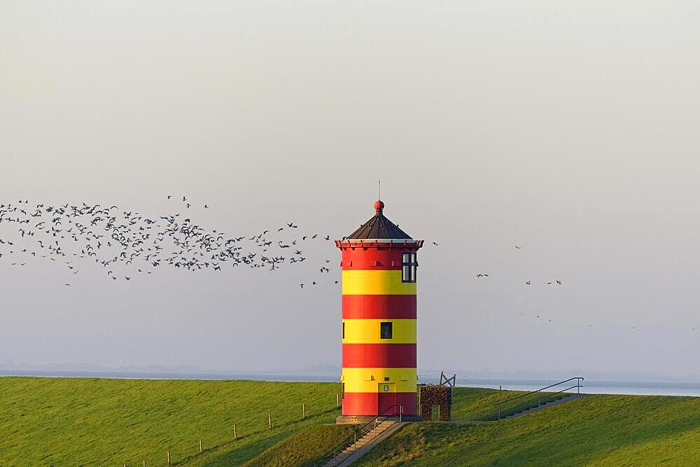 Pilsum lighthouse in the morning light, Pilsum, North Sea, Lower Saxony, Germany, Europe