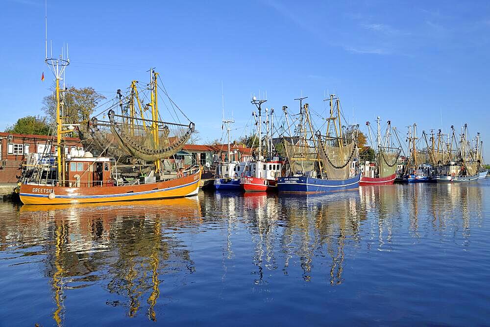 Crab cutter in Greetsiel harbour, blue sky, North Sea, Lower Saxony, Germany, Europe