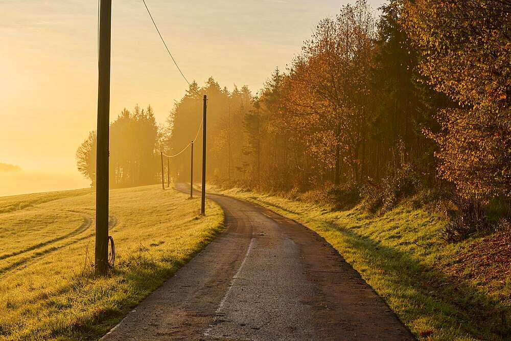 Road, Field, Forest, Haze, Sunrise, Autumn, Hambrunn, Schneeberg, Odenwald, Bavaria, Germany, Europe