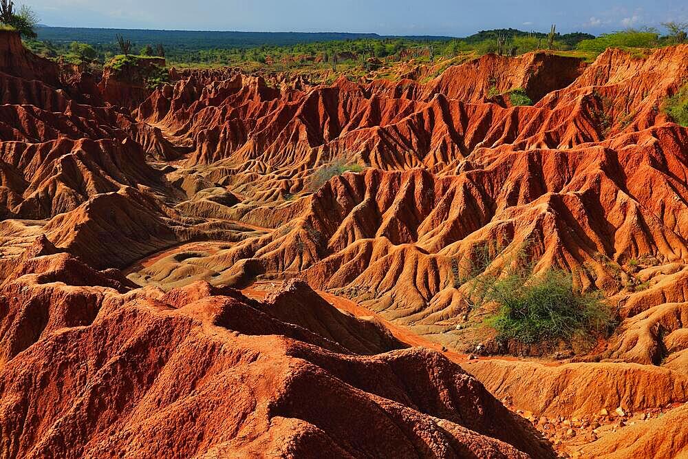 Republic of Colombia, Tatacoa Desert, landscape in the department of Huila, Desierto de la Tatacoa, Tatacoa Desert is a desert of about 330 km² in Colombia, in the northern part of the province of Huila in the valley of the Rio Magdalena, a dry basin at the foot of the Eastern Cordillera, tropical dry forest, playful rock cones, washed-out gorges and rock formations, Colombia, South America