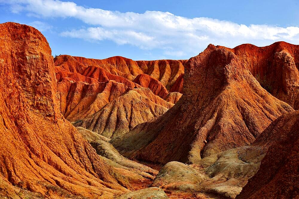 Republic of Colombia, Tatacoa Desert, landscape in the department of Huila, Desierto de la Tatacoa, Tatacoa Desert is a desert of about 330 km² in Colombia, in the northern part of the province of Huila in the valley of the Rio Magdalena, a dry basin at the foot of the Eastern Cordillera, tropical dry forest, playful rock cones, washed-out gorges and rock formations, Colombia, South America