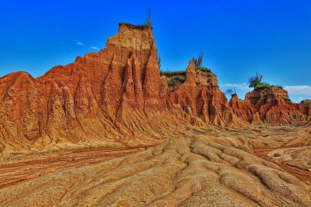 Republic of Colombia, Tatacoa Desert, landscape in the department of Huila, Desierto de la Tatacoa, Tatacoa Desert is a desert of about 330 km² in Colombia, in the northern part of the province of Huila in the valley of the Rio Magdalena, a dry basin at the foot of the Eastern Cordillera, tropical dry forest, playful rock cones, washed-out gorges and rock formations, Colombia, South America