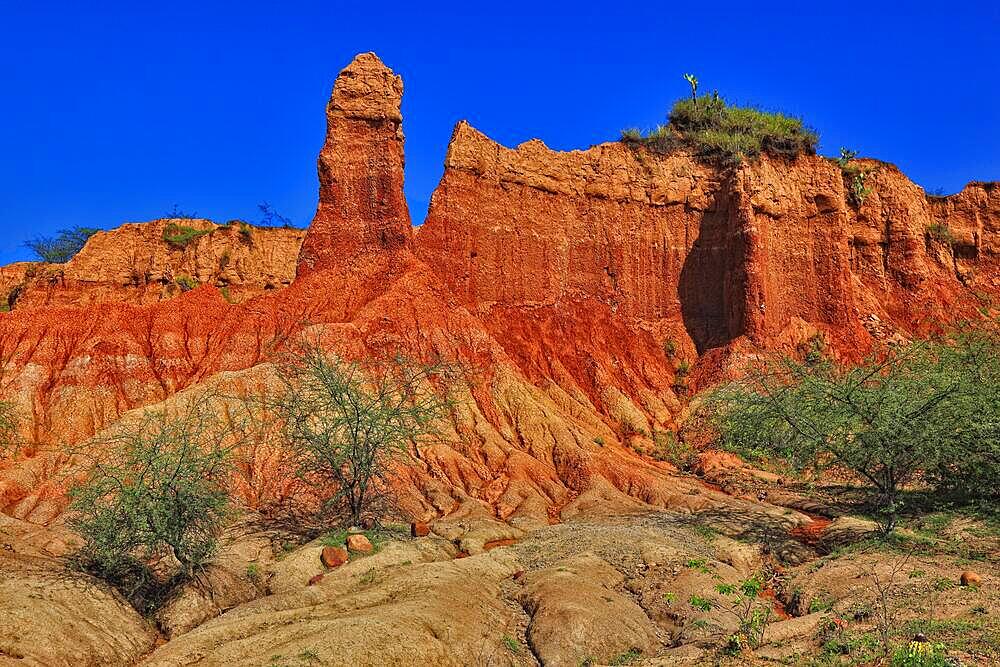 Republic of Colombia, Tatacoa Desert, landscape in the department of Huila, Desierto de la Tatacoa, Tatacoa Desert is a desert of about 330 km² in Colombia, in the northern part of the province of Huila in the valley of the Rio Magdalena, a dry basin at the foot of the Eastern Cordillera, tropical dry forest, playful rock cones, washed-out gorges and rock formations, Colombia, South America