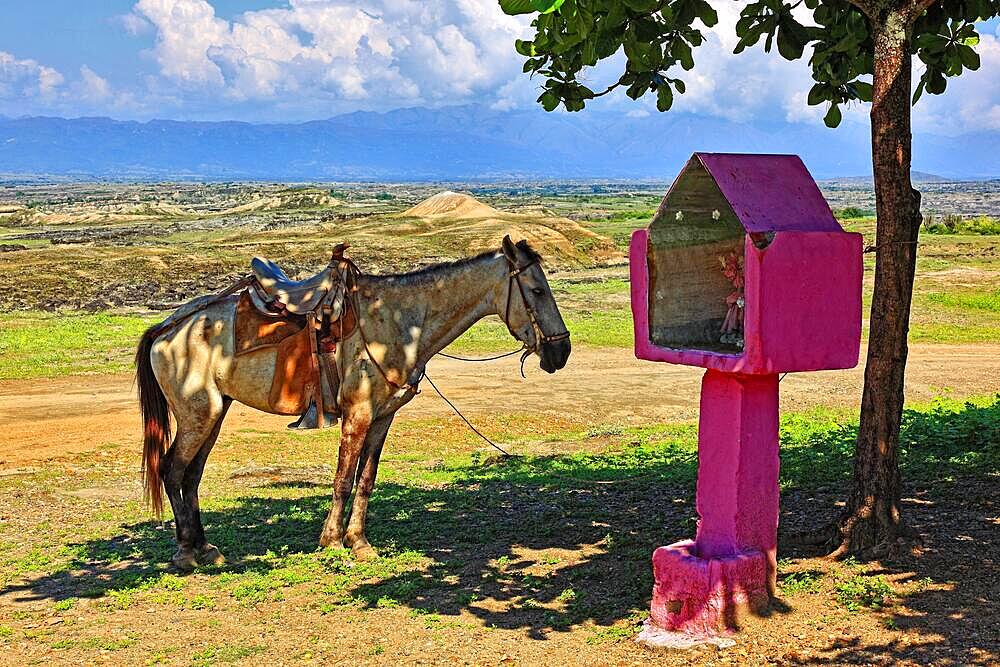 Republic of Colombia, Landscape in the Department of Huila near the Tatacoa Desert, Desierto de la Tatacoa, Mule and wayside shrine, Colombia, South America