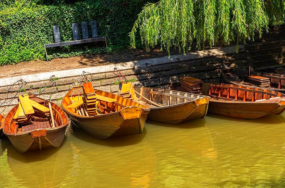 Punting barges, so-called Stocherkaehne on the banks of the Neckar river in Tuebingen, Baden-Wuerttemberg, Germany, Europe