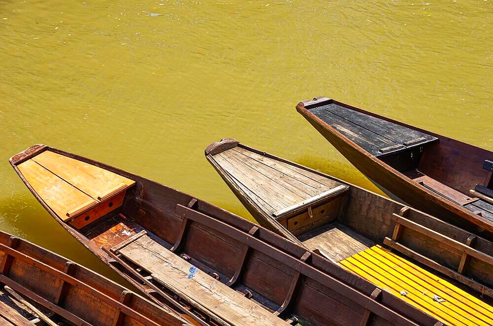 Tips of wooden barges in the water, using the example of punting barges on the banks of the Neckar in Tuebingen, Baden-Wuerttemberg, Germany, symbolic image, Europe