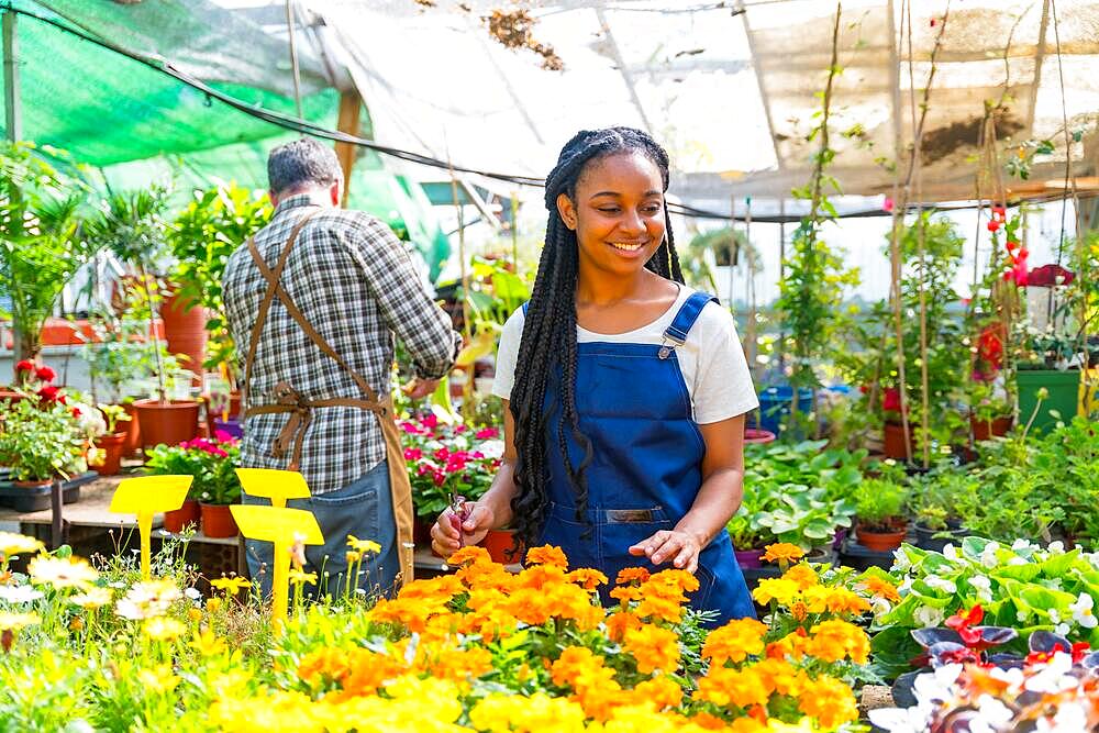 Flower greenhouse nursery gardeners working, smiling agriculture taking care of flowers