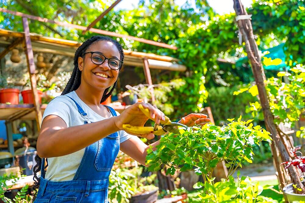 Portrait of black ethnic woman with braids and glasses is a gardener in the nursery in the greenhouse happy cutting the bonsai