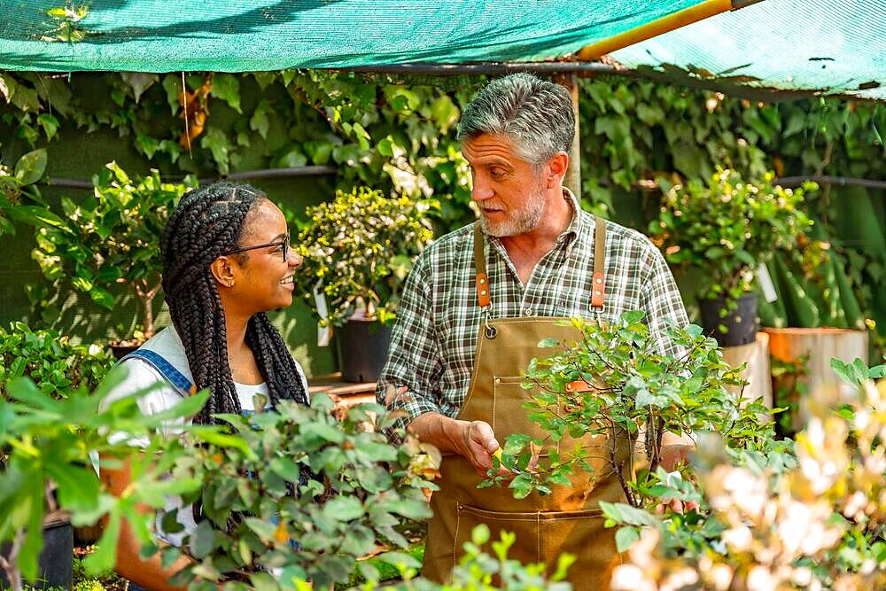 Master gardener teaching student girl flower nursery in greenhouse