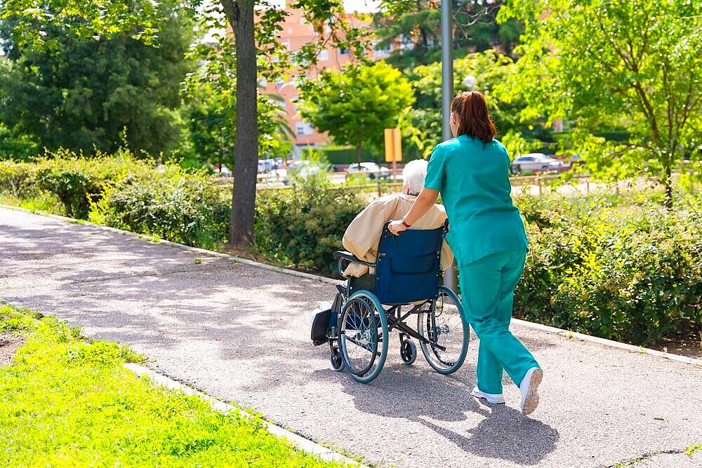 An elderly woman with the nurse on a walk in the garden of a nursing home in a wheelchair