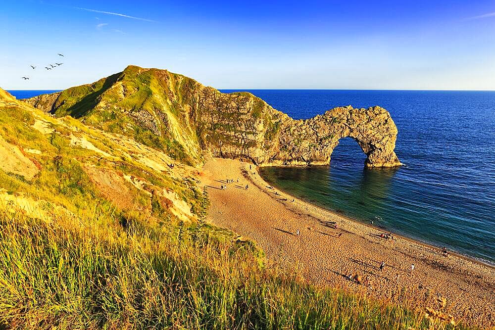 Coastline with bathing beach at Durdle Door, limestone rock bridge, UNESCO World Heritage Site, Dorset landmark, England, United Kingdom, Europe