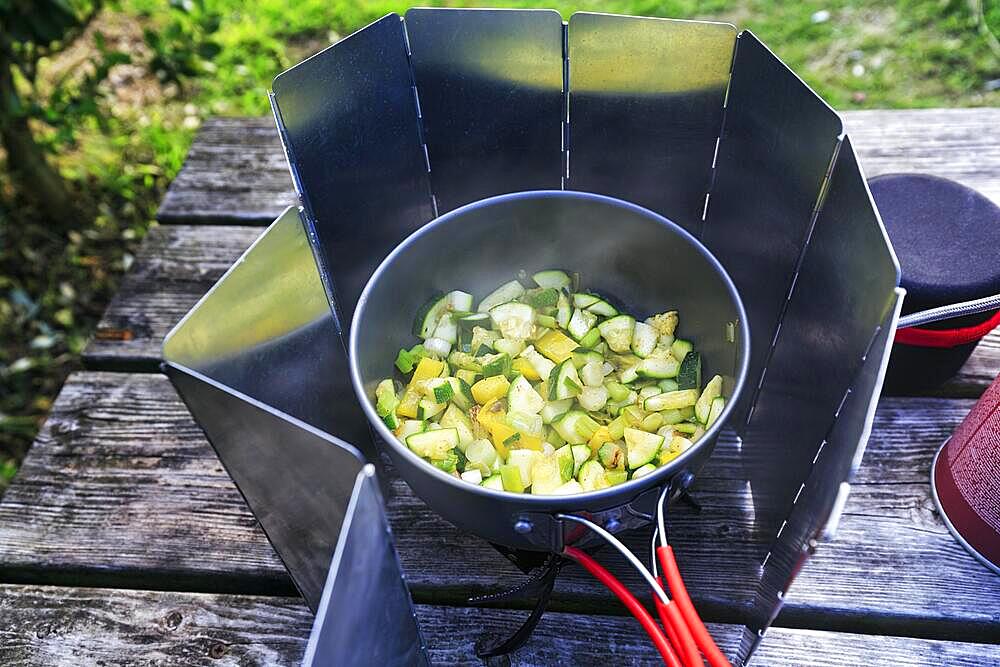 Vegetables, courgettes, spring onions, spring onions in a saucepan, camping cooker with windbreak, gas cooker, easy outdoor cooking, outdoors, England, Great Britain