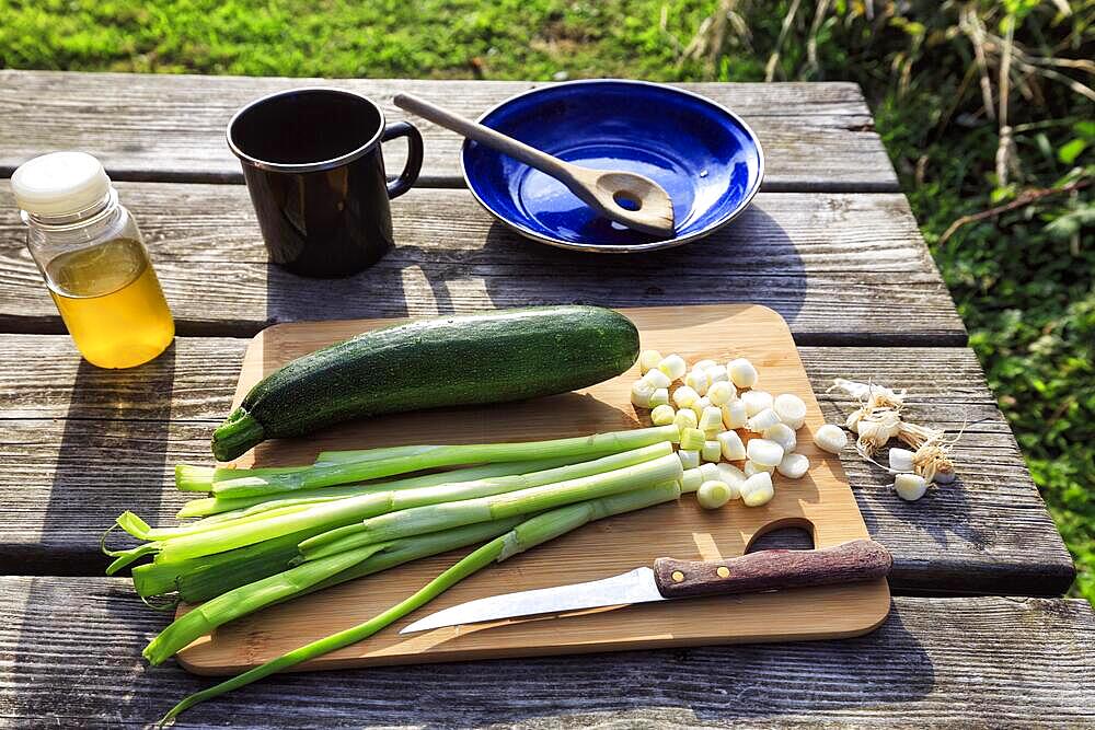 Vegetables on wooden board, spring onions, spring onions, sliced, courgettes, simple camping kitchen, outdoor cooking, camping, outdoors, England, Great Britain