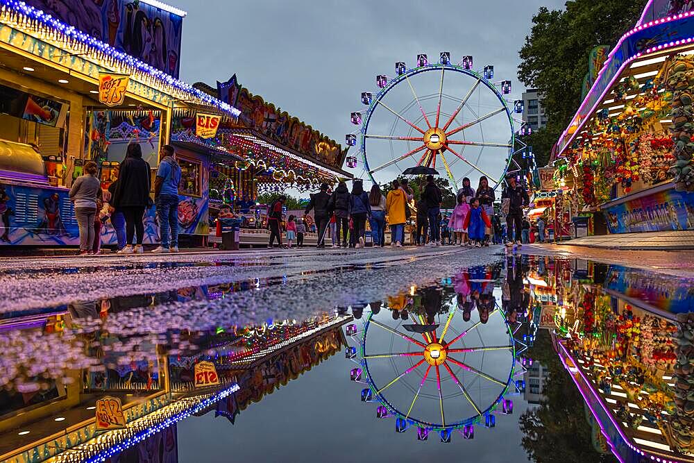 The colourful lights of the Mainfest are reflected in a puddle. The Mainfest on the Mainkai, Fahrtor and Roemerberg is one of Frankfurt's oldest public festivals. The official opening takes place in 2023 on 04 August at 6pm at the Gerechtigkeitsbrunnen on Roemerberg. The festival ends with a big fireworks display over the Main on Monday, 07.08.2023., Mainufer, Frankfurt am Main, Hesse, Germany, Europe