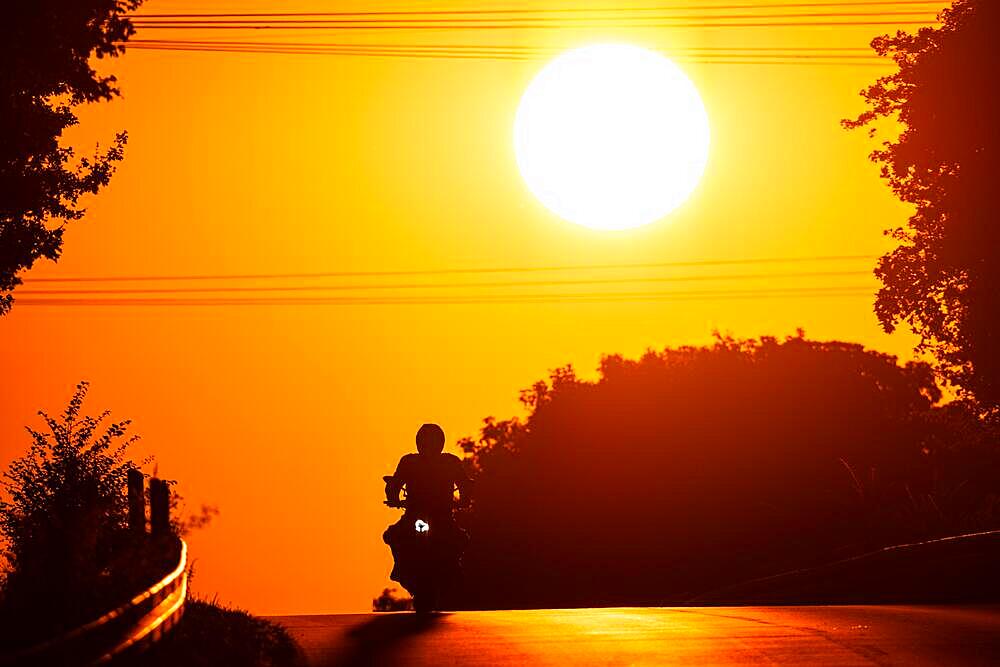 A motorbike rides along a country road near Frankfurt am Main at sunrise, Frankfurt am Main, Hesse, Germany, Europe