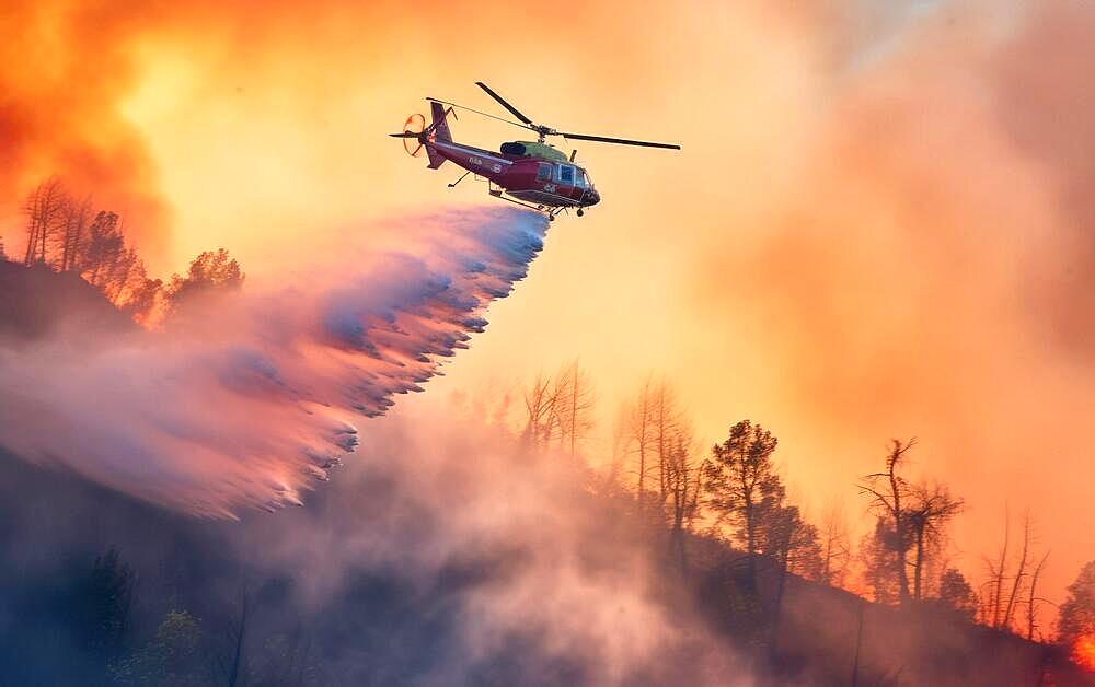 Firefighting helicopter pours water over forest fire, flames, fire inferno, climate change, heat, destruction, AI generates