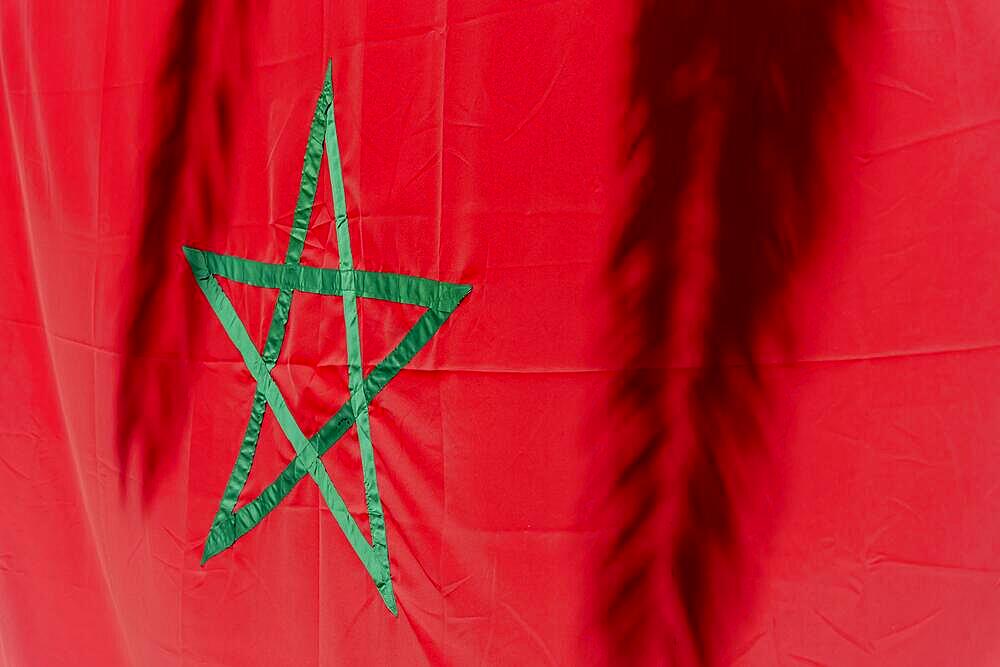 The flag of Morocco