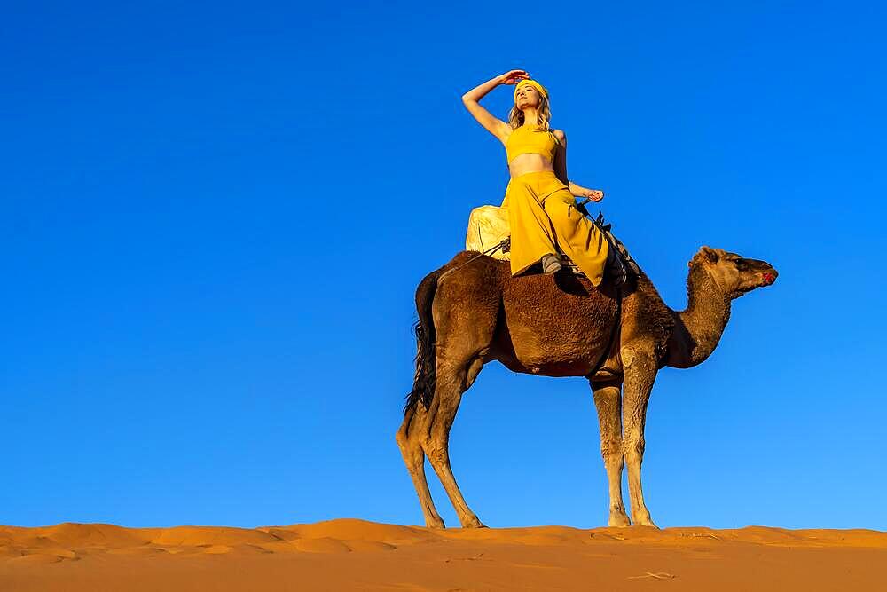 A beautiful model rides a camel through the Saharan Desert in Morocco