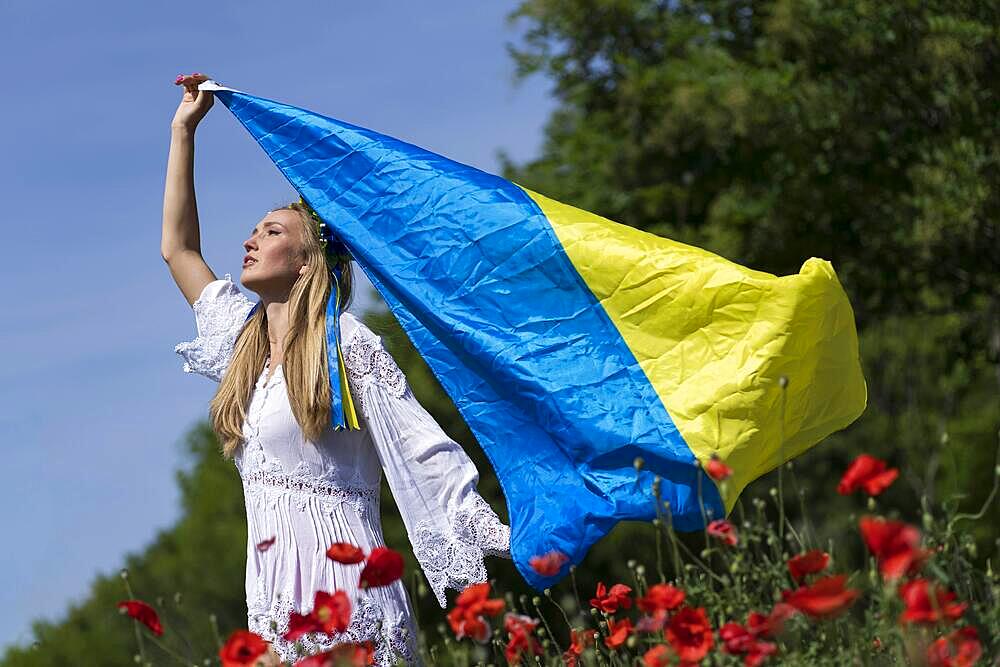 A young blonde Ukrainian woman stands in a field of Red Poppy flowers holding the flag of Ukraine showing her support for the war in her native country of Ukraine