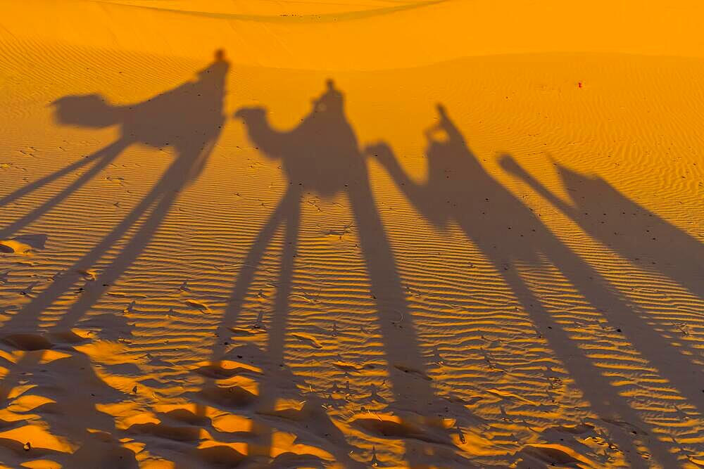 Shadows of a group of travelers are seen in the sand as they walk through the Saharan Desert in Morocco