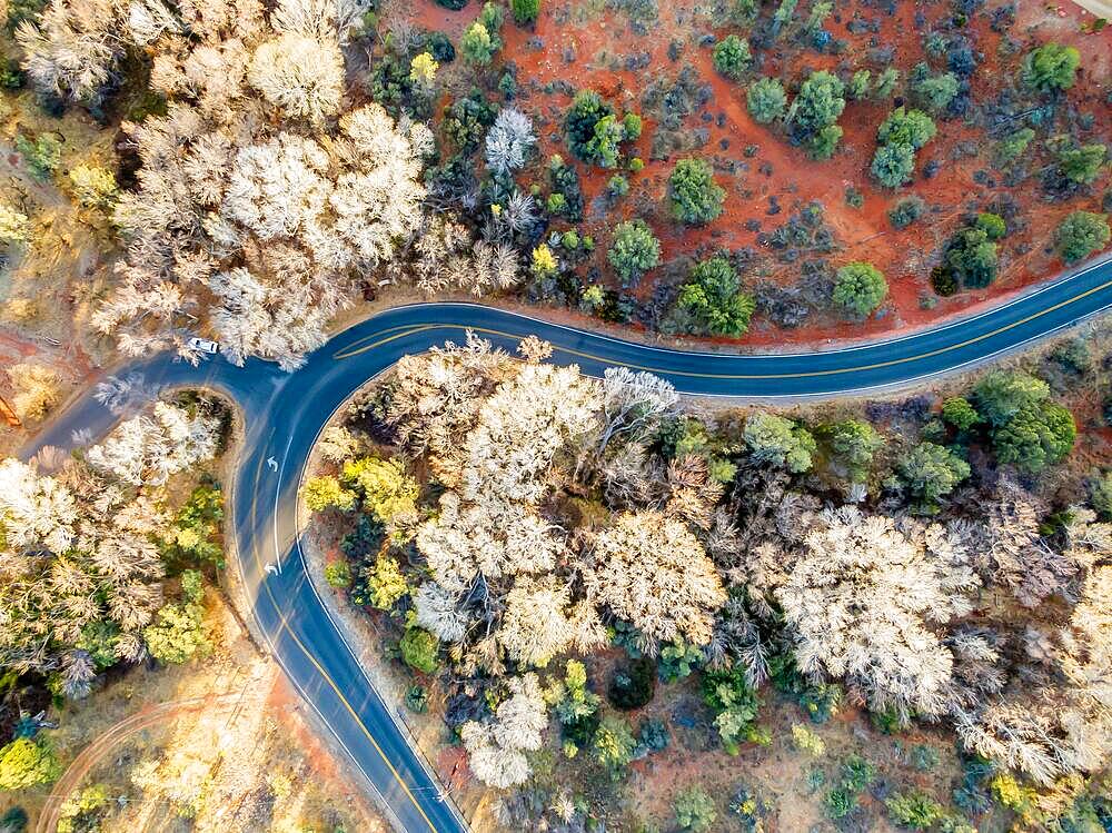 Aerial view of a rural landscape with a curvy road running through it in Sedona, Arizona. Drone photograph