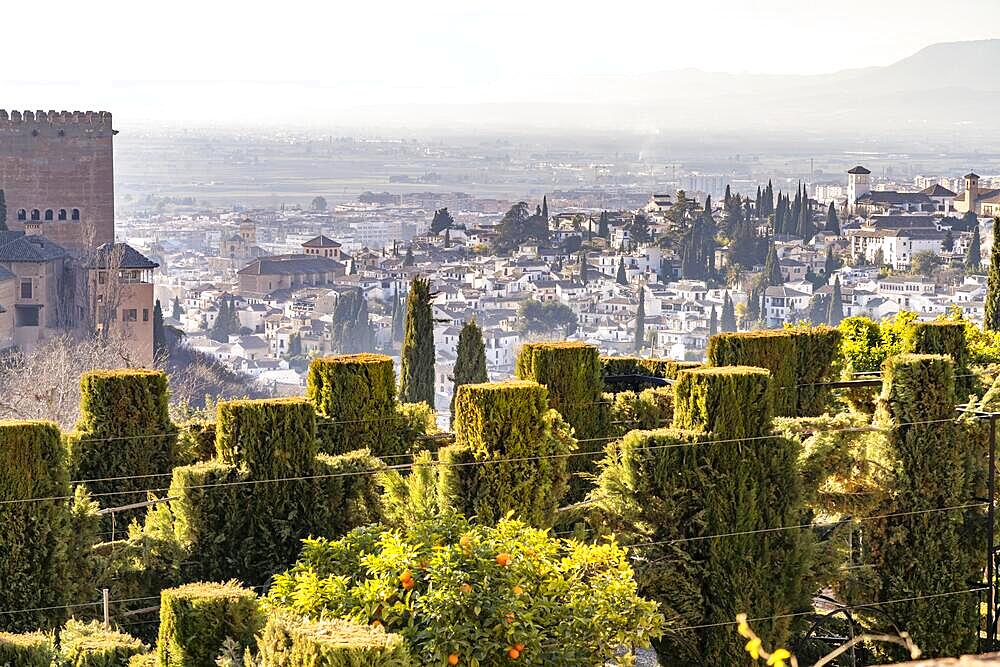 View from the Generalife of the Alhambra castle complex and the city of Granada, Andalusia, Spain, Europe