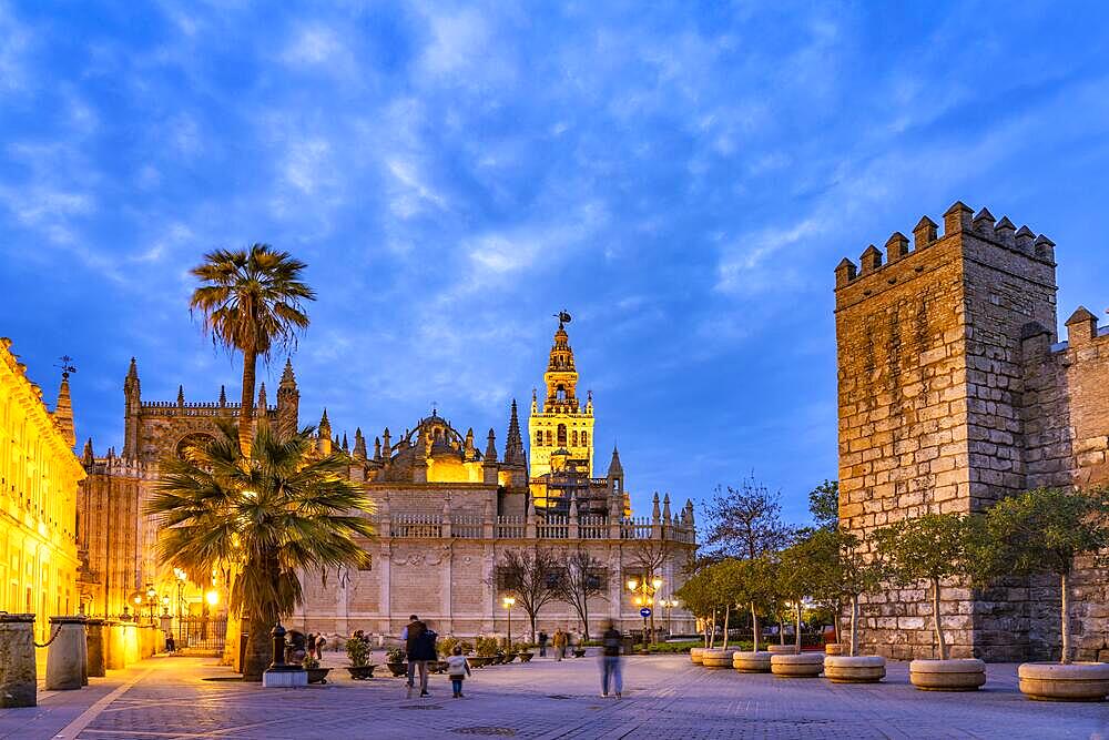 Santa Maria de la Sede Cathedral at dusk, Seville, Andalusia, Spain, Europe