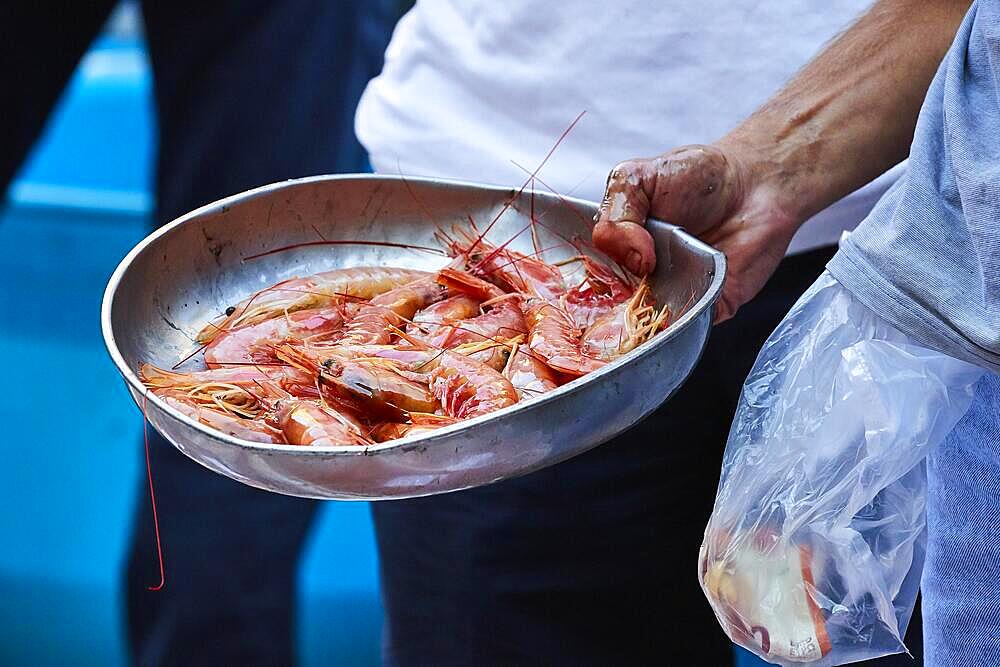 Vendor's hand holding metal bowl with prawns, detail, fish market, old town, Catania, east coast, Sicily, Italy, Europe