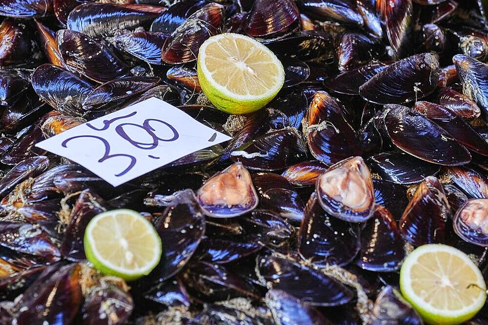 Mussels, lemons, price tag, detail, fish market, old town, Catania, east coast, Sicily, Italy, Europe