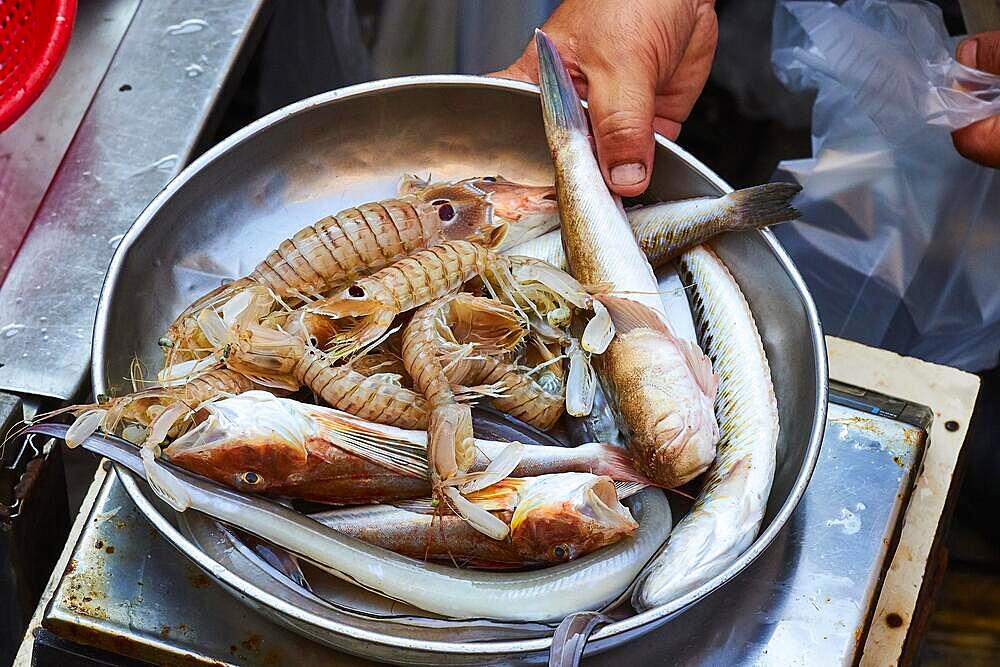 Fish, prawns, metal bowl, scale, hand, detail, fish market, old town, Catania, east coast, Sicily, Italy, Europe