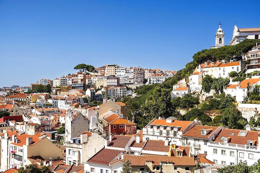 View of the Igreja da Graca in the evening light, Lisbon, Portugal, Europe