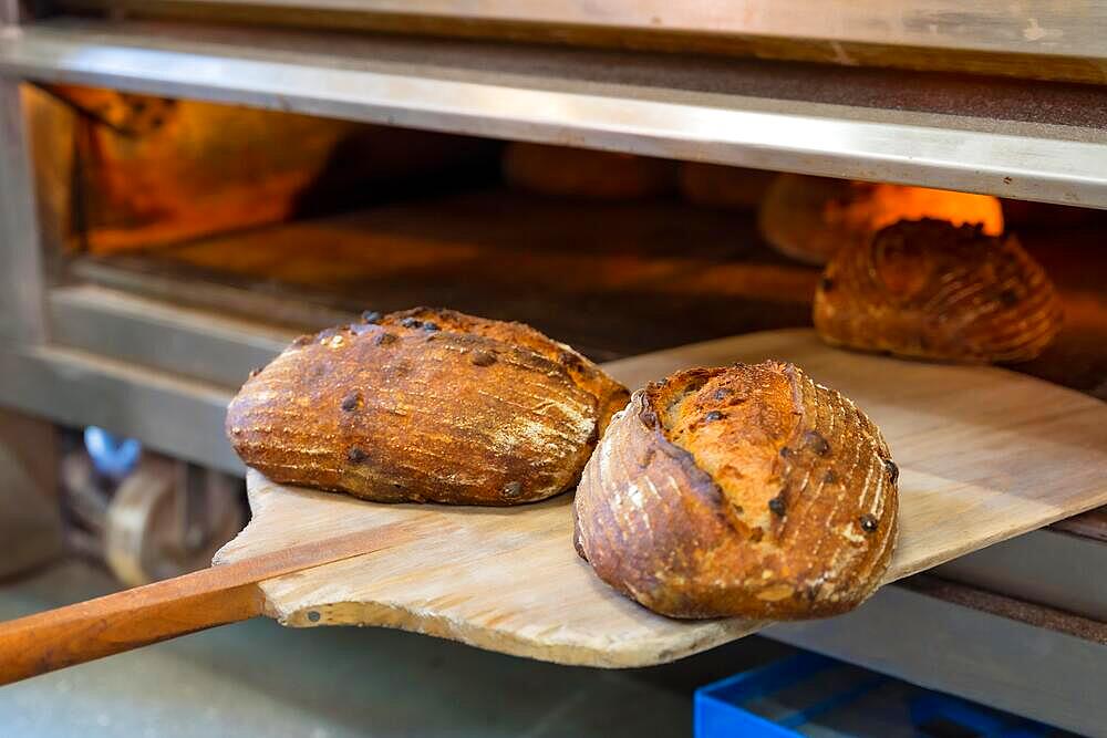 Baker employee of bakery in the workshop workshop of artisan bakery baking loaves in the oven