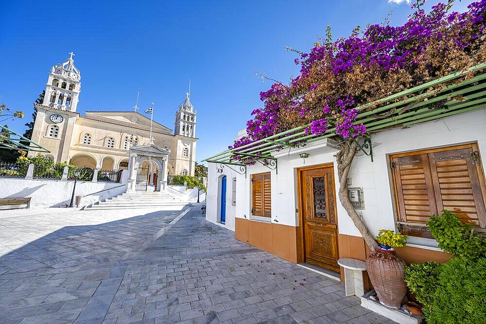 White Cycladic house with purple bougainvillea and Agia Triada church, Lefkes, Paros, Cyclades, Greece, Europe